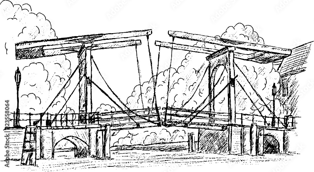 Fototapeta premium vector - magere brug hand draw, isolated on background