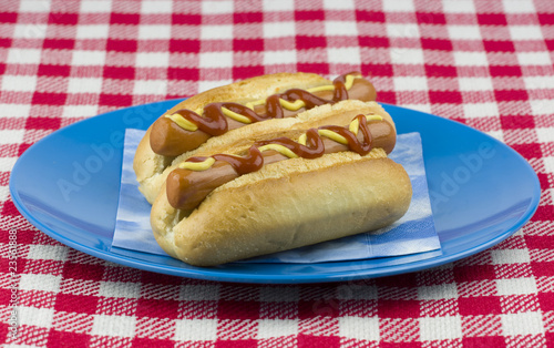 Two hot dogs with mustard and ketchup
