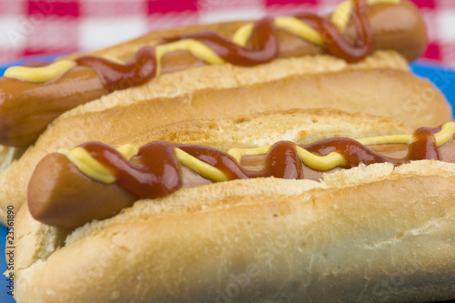 Two hot dogs with mustard and ketchup