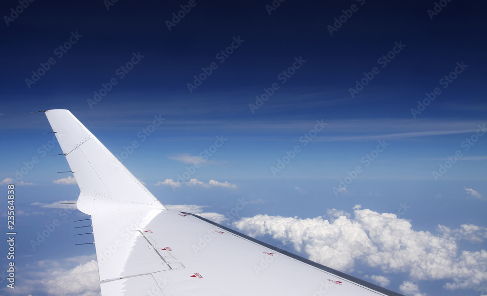 Obraz premium Airplane in the sky
