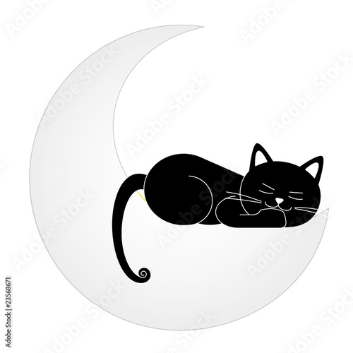 Gato durmiendo encima de la luna