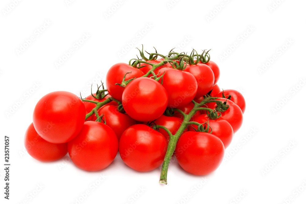 Tomatoes group Tomatoes group