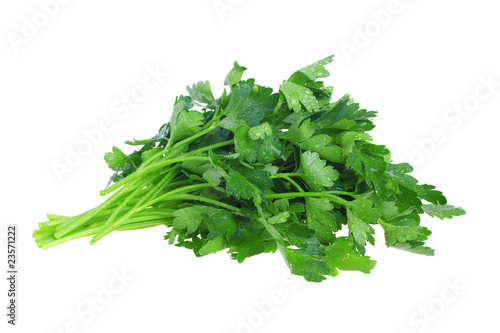 Fresh green parsley