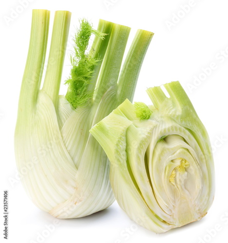 Ripe fennel isolated on a white background.