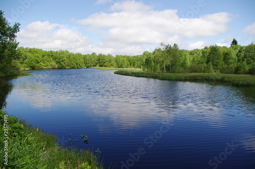 Lake in the everglade