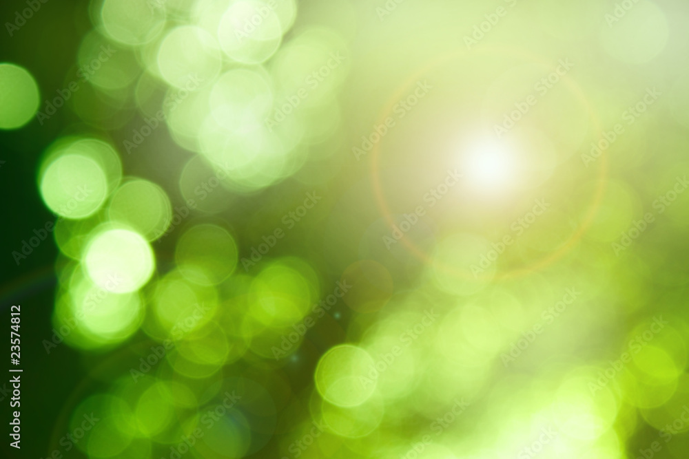 Fototapeta premium Nature bokeh background