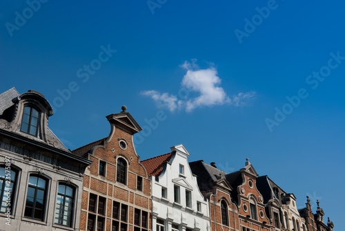 Rooftops in Brussels