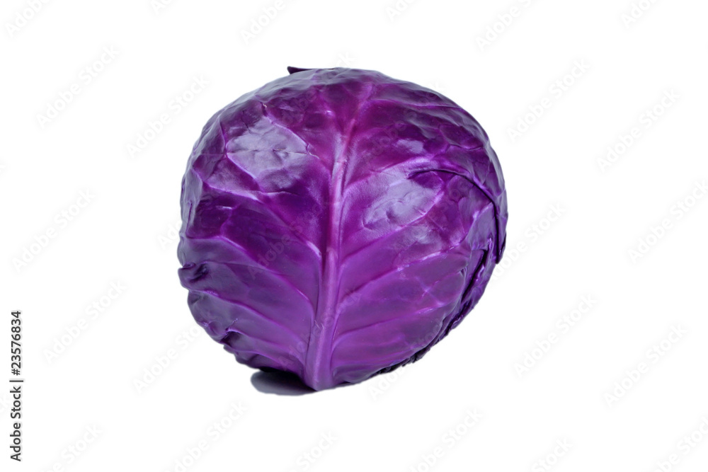 purple cabbage purple cabbage