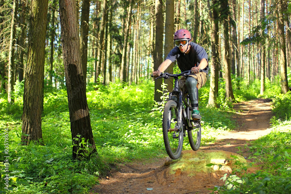 Cyclist in forest