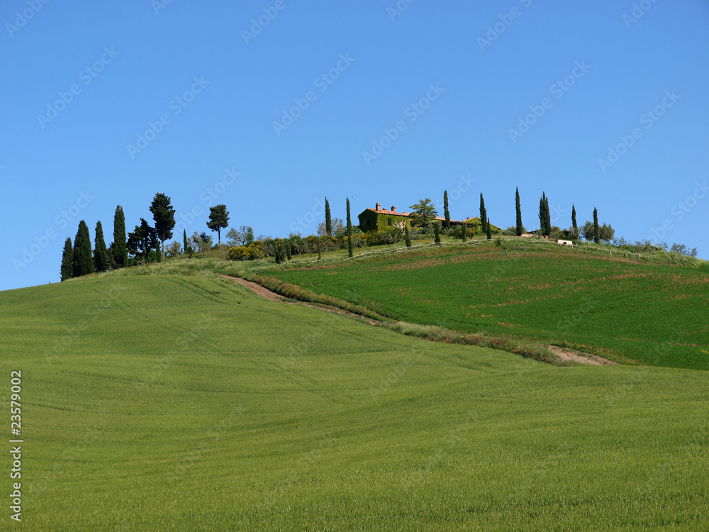 The landscape of the Val d’Orcia. Tuscany. Italiy