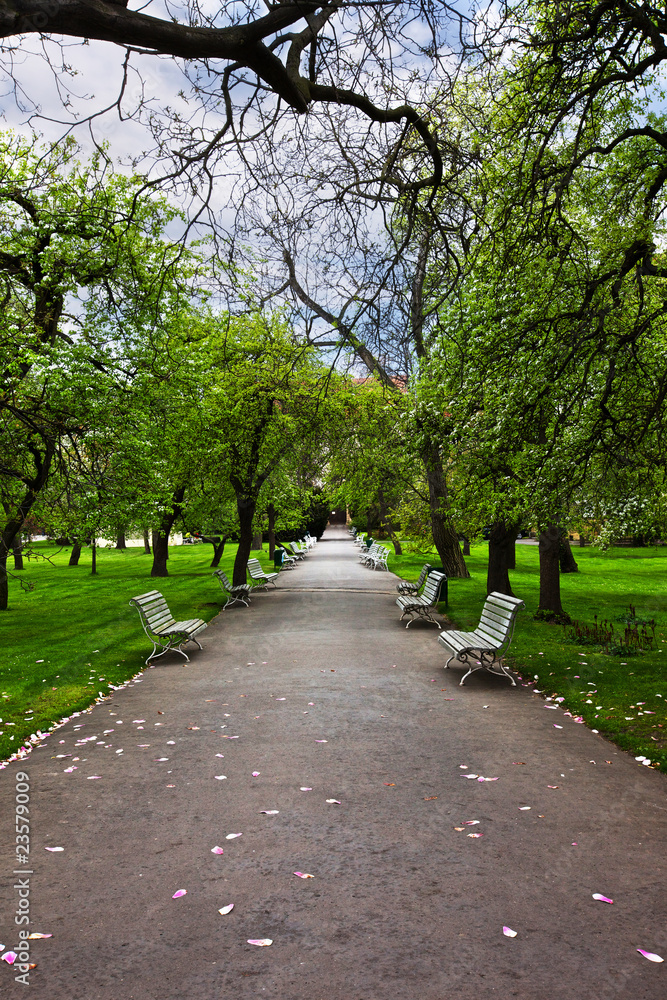 alley with benches