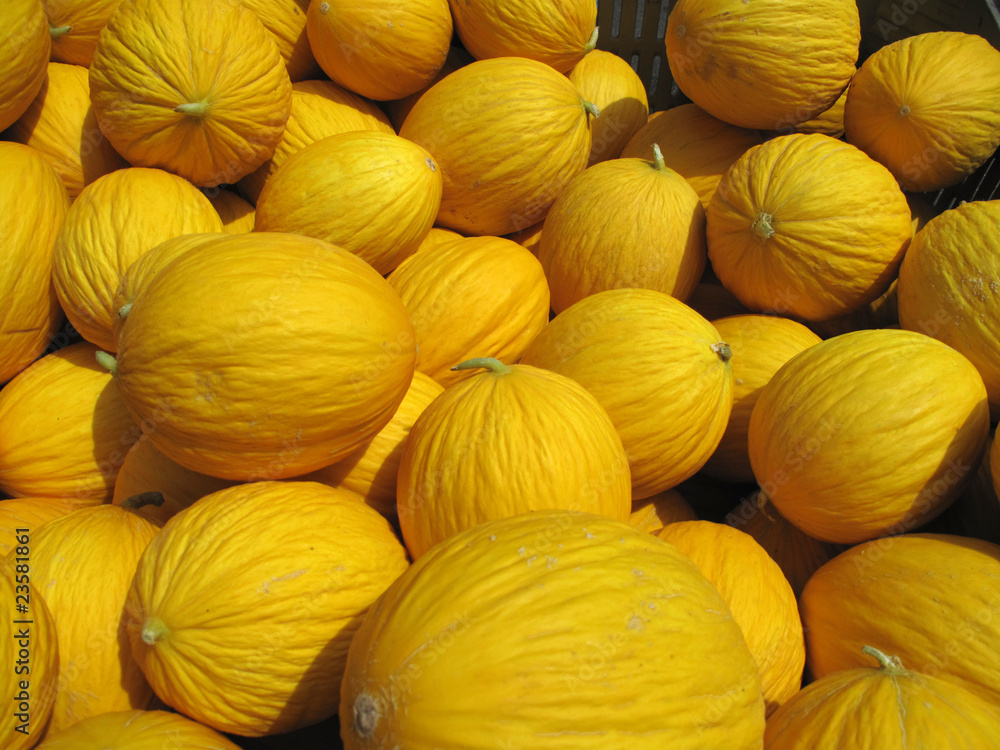 Honigmelone Honigmelone