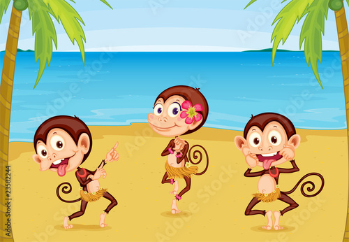 Three Monkeys on a Beach