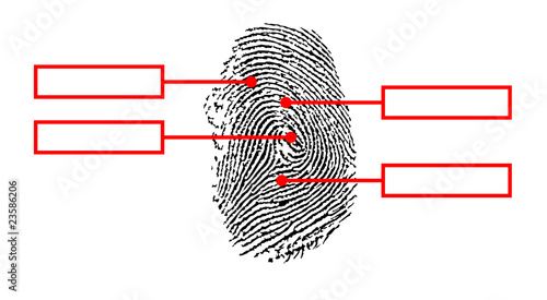 fingerprint