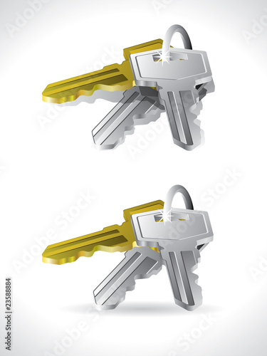 Vector keys isolated on white background