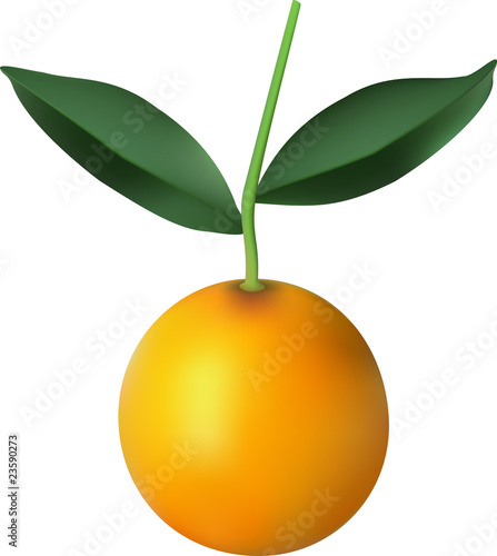 Orange.