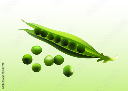 Pea.