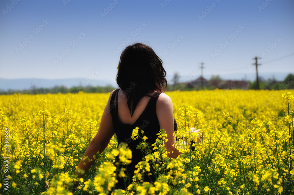 Young beautiful girl on yellow flower field with blue sky Young beautiful girl on yellow flower field with blue sky