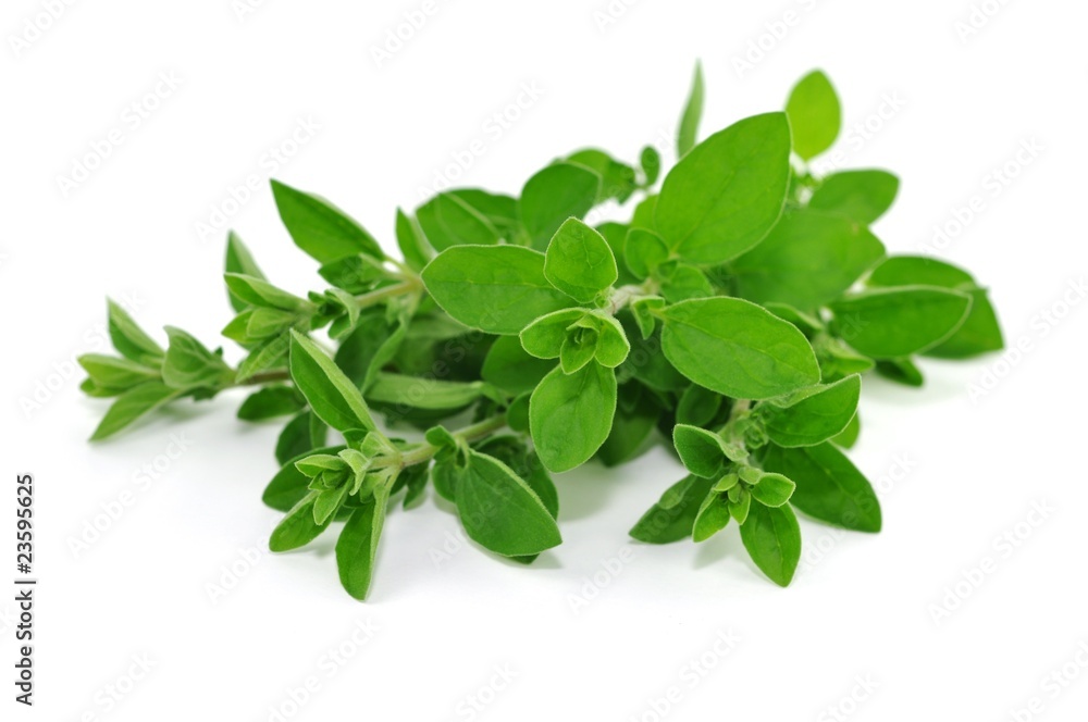 Aromastoff, Oregano Aromastoff, Oregano
