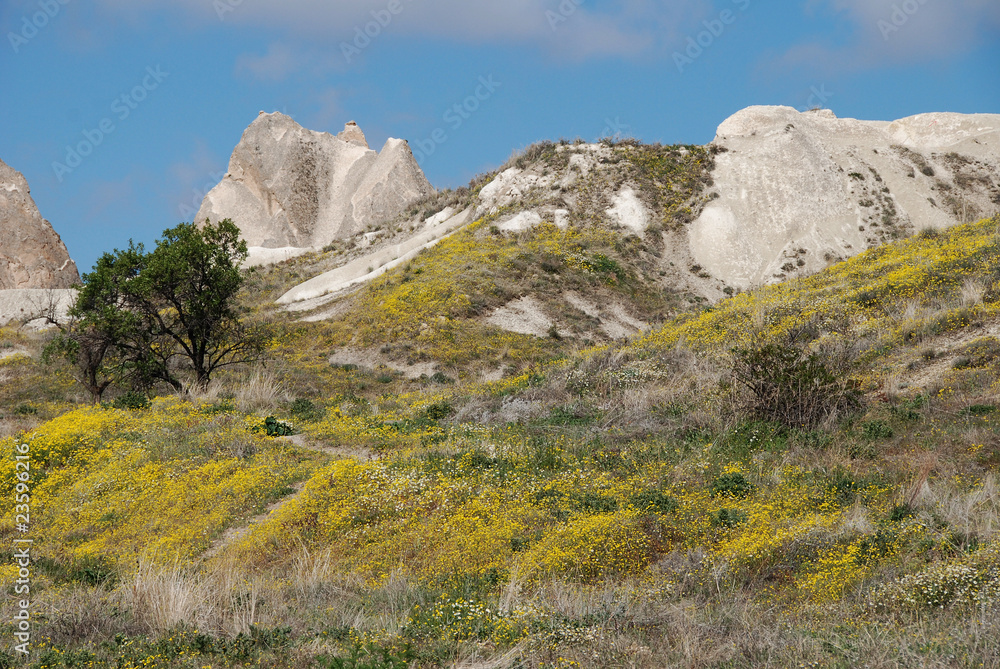 (118) cappadocia (118) cappadocia