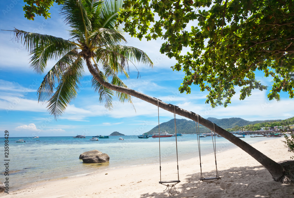 Tropical beach with swing and palms under blue sky. Thailand Tropical beach with swing and palms under blue sky. Thailand