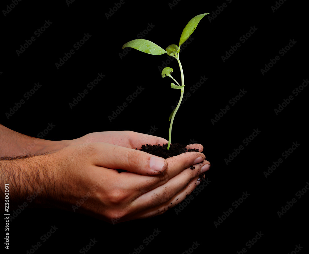 Hold new life Hold new life