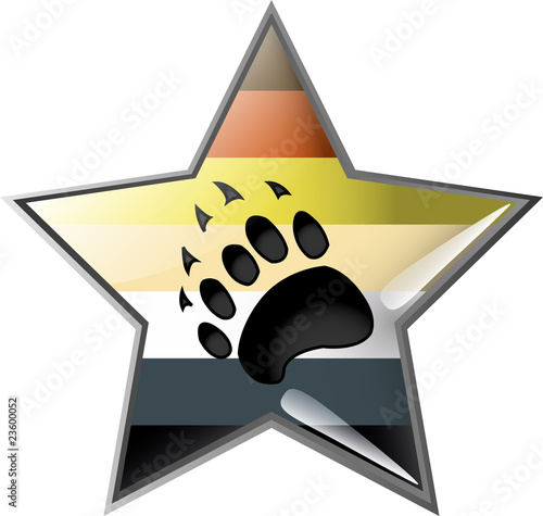 étoile au motif du drapeau "BEAR"