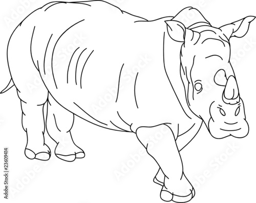 vector - big rhino isoalted on background