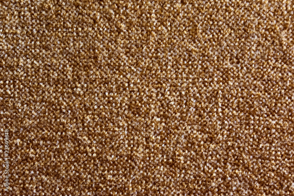 Fur background Fur background