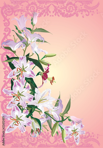 light lily flowers on pink