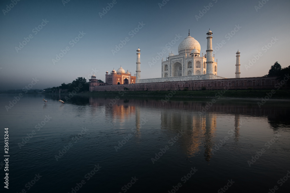 Jamuna River Birds at Sunset Taj Mahal