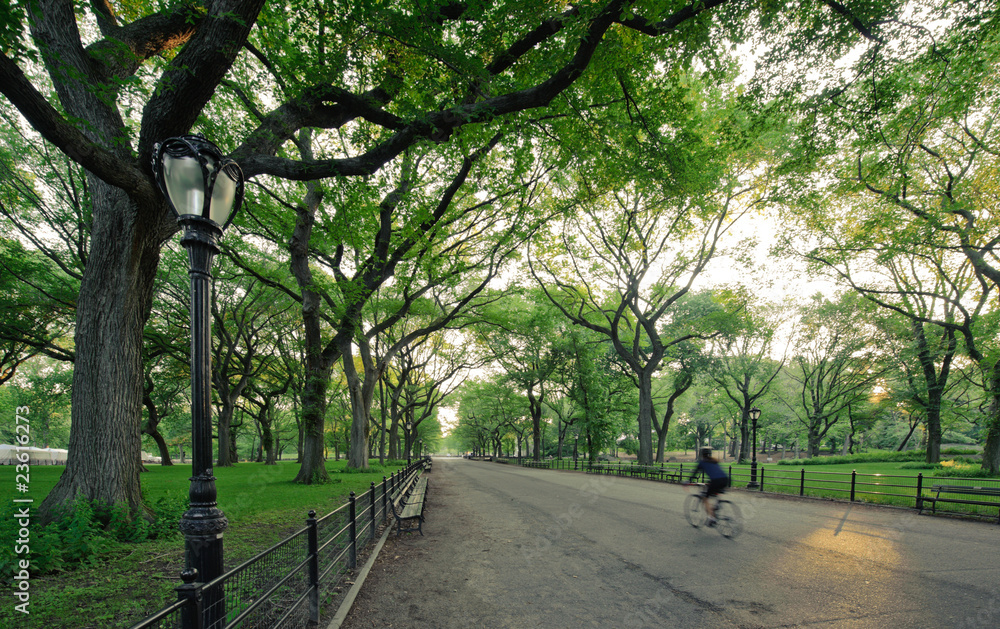 Central Park (The Mall) with bicyclist