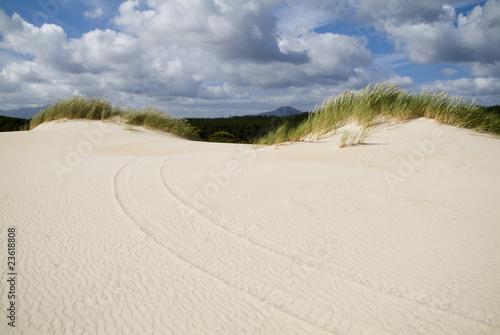 Car Tracks Over Coastal Sand Dunes