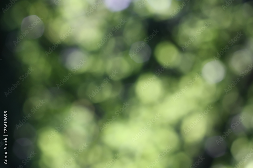 Obraz premium BEAUTIFULL BOKEH