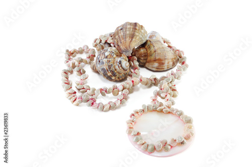 Necklaces made of shells on the background of marine mollusks