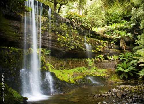Fototapeta Naklejka Na Ścianę i Meble -  Russell Falls in the Mt Field National Park, Australia