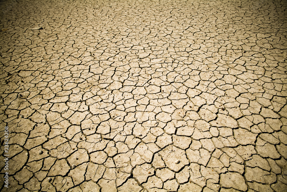 Badly cracked earth under a scorching sun in drought as background texture for climate change or global warming concept Badly cracked earth under a scorching sun in drought as background texture for climate change or global warming concept