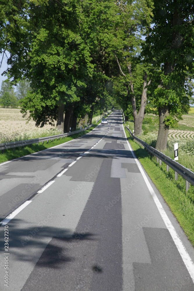 Obraz premium Landstraße auf Rügen