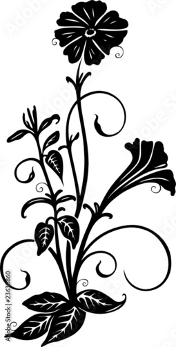 Ranke, floral, filigran, Blumen, Blätter, schwarz