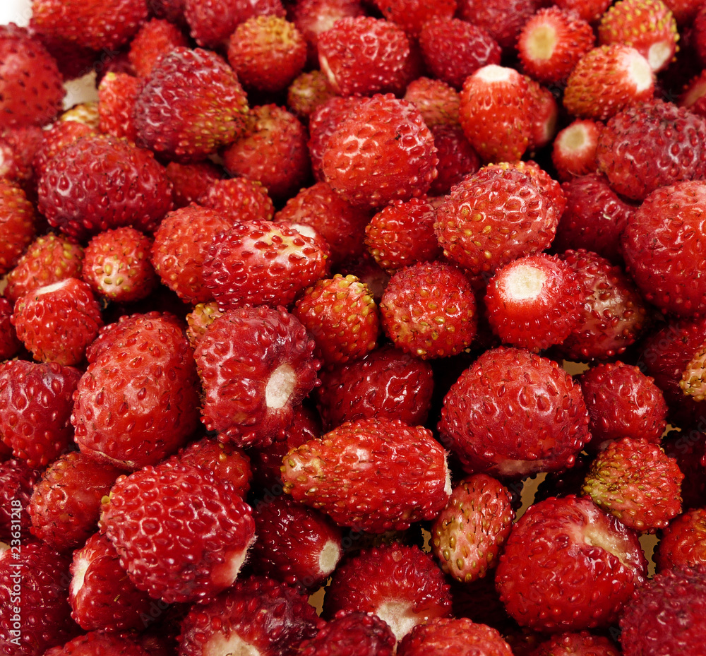 wild strawberry background wild strawberry background