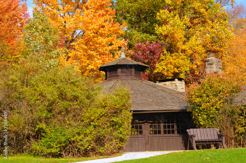 Autumn park shelter