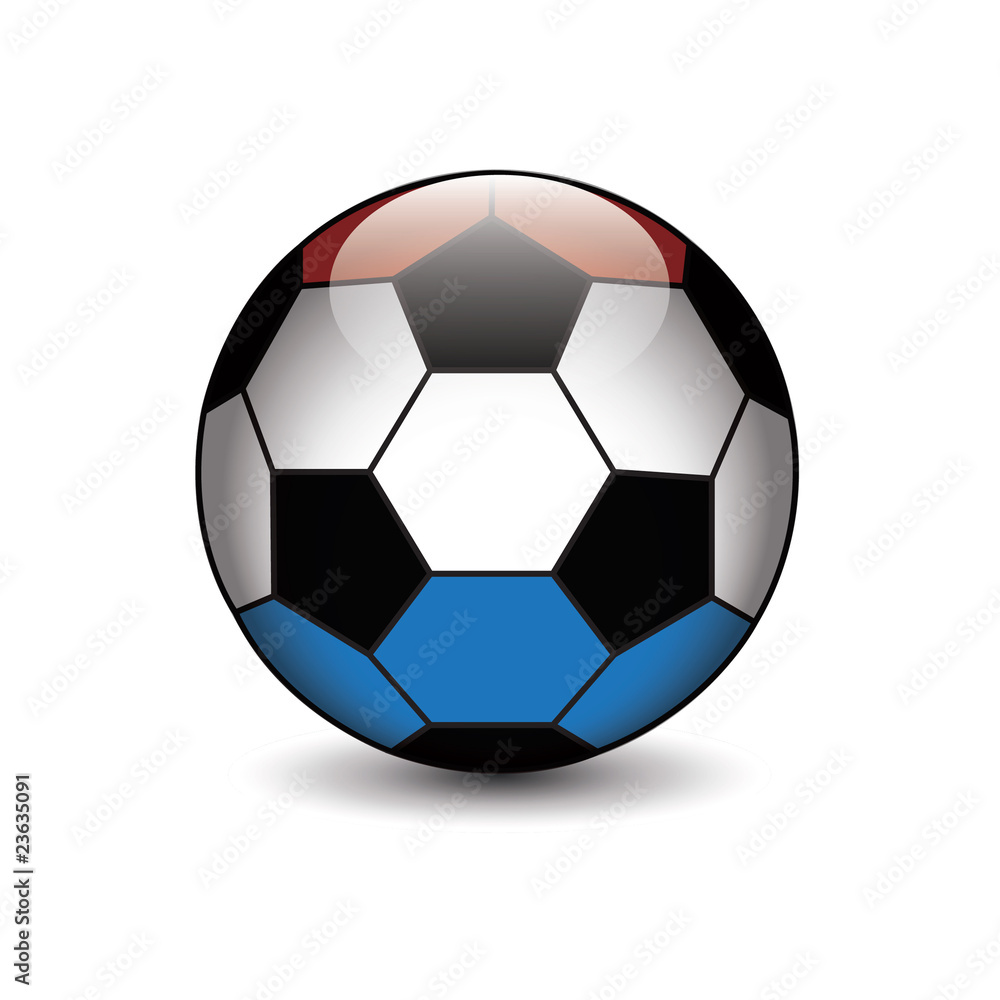 Fototapeta premium icona pallone calcio Olanda