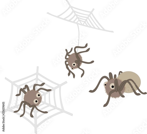 A set of different spiders