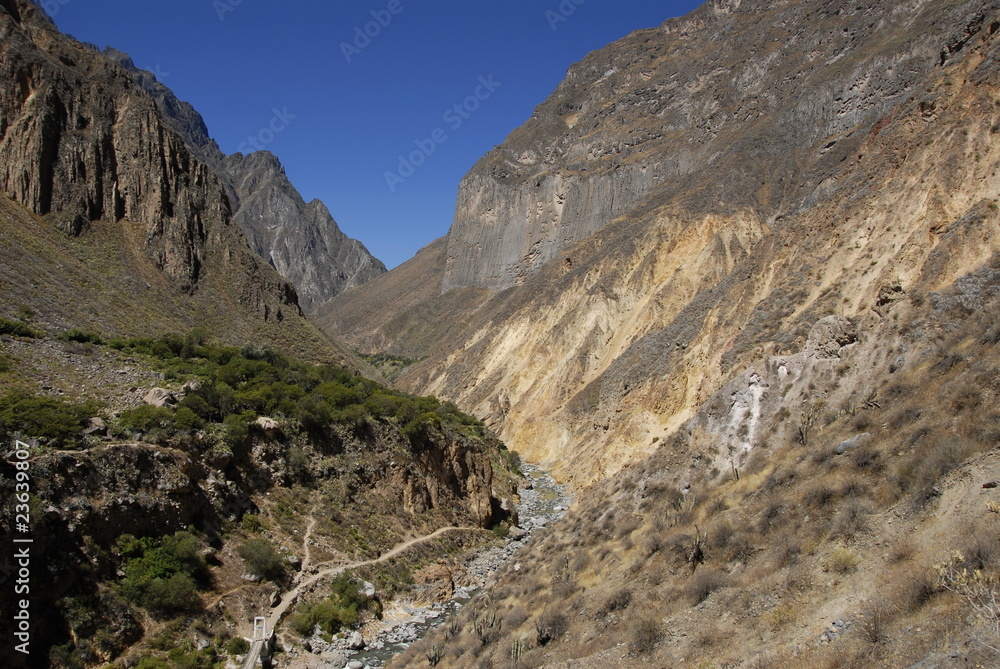 Colca canyon, near Arequipa, from near  the botttom