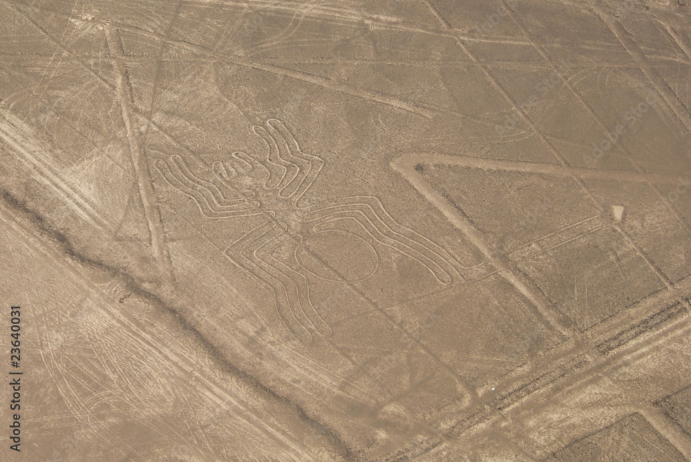 Fotografie Spider figure, Nazca lines in Peruvian desert