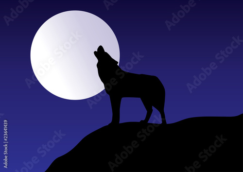 wolf howling at the moon