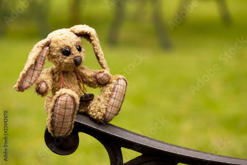 small rabbit soft toy sitting in an iron bench, Author's work wi © Elena Moiseeva