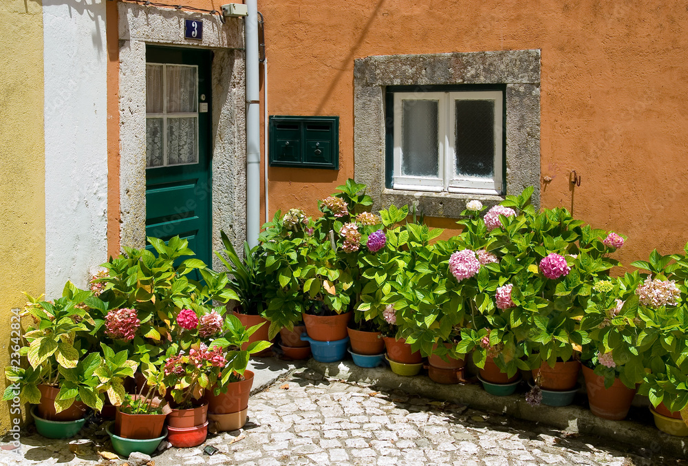 Small patio in Portugal with fowers in flowerpots