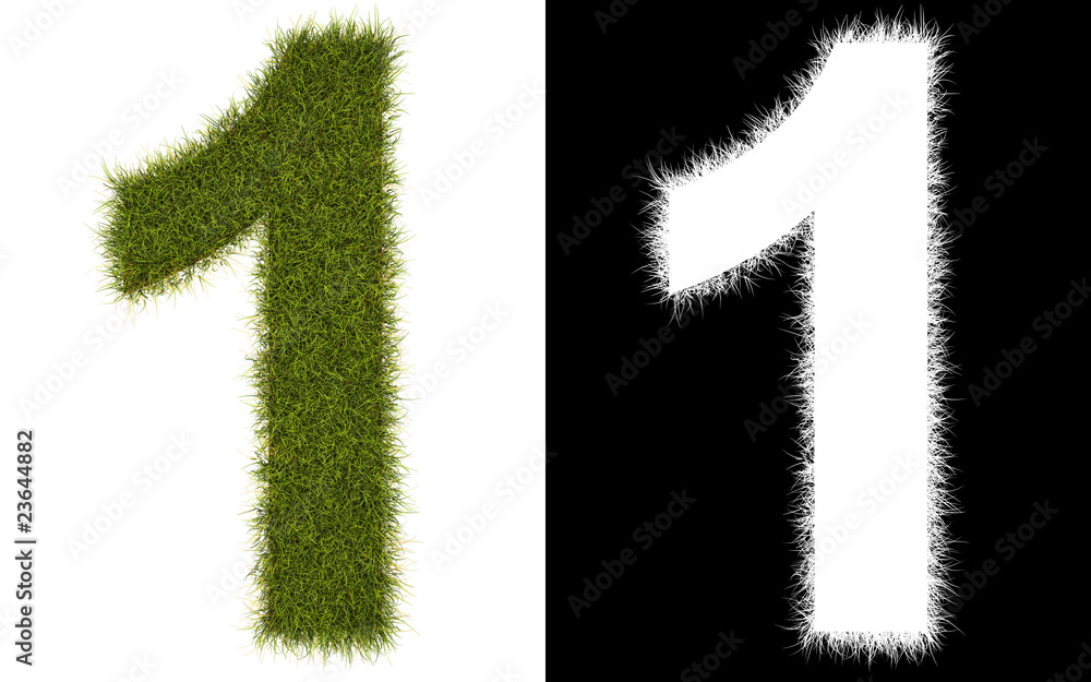 number 1 of the grass with alpha channel