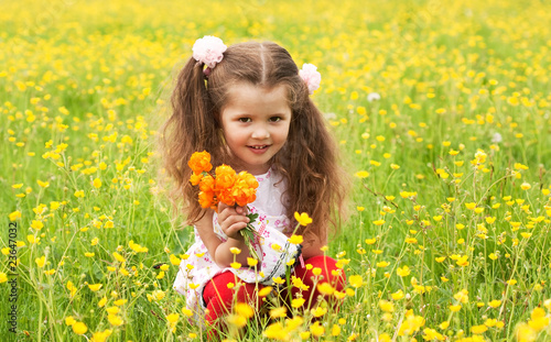 The little girl collects flowers